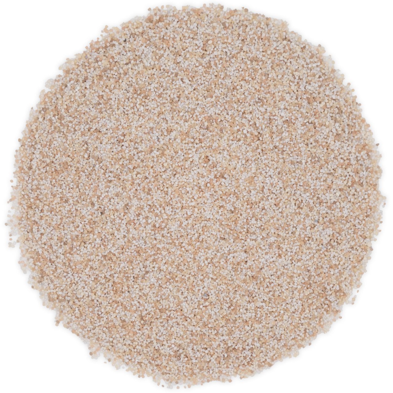 coconut様ご確認用 Torginol® | Coconut